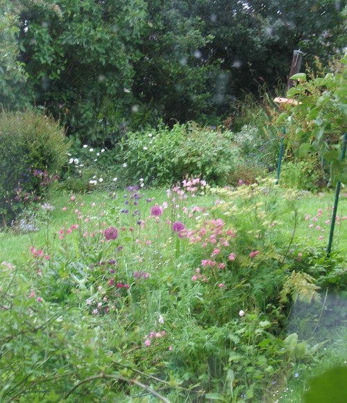 The herb garden in full flower