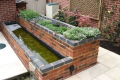 Small modern garden