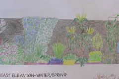 Plants for a keen Norfolk gardener