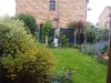 Existing garden showing overgrown shrubs