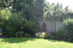 Exotic shade planting