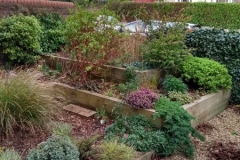 Shady Urban Front Garden