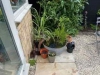 image12
